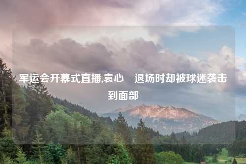 军运会开幕式直播,袁心玥退场时却被球迷袭击到面部
