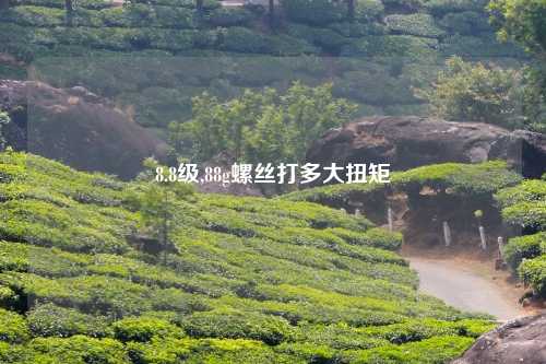 8.8级,88g螺丝打多大扭矩