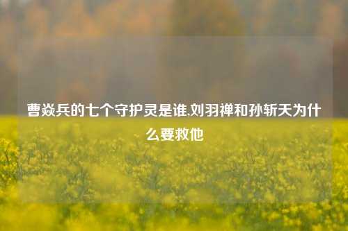 曹焱兵的七个守护灵是谁,刘羽禅和孙斩天为什么要救他