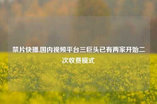 禁片快播,国内视频平台三巨头已有两家开始二次收费模式
