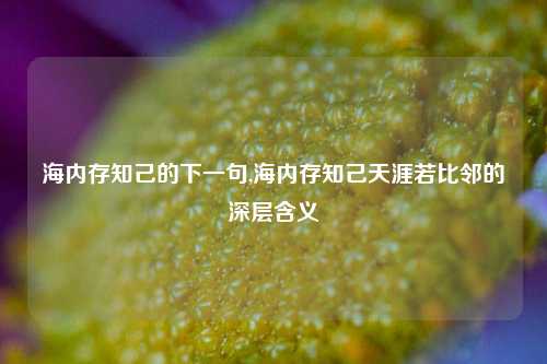 海内存知己的下一句,海内存知己天涯若比邻的深层含义