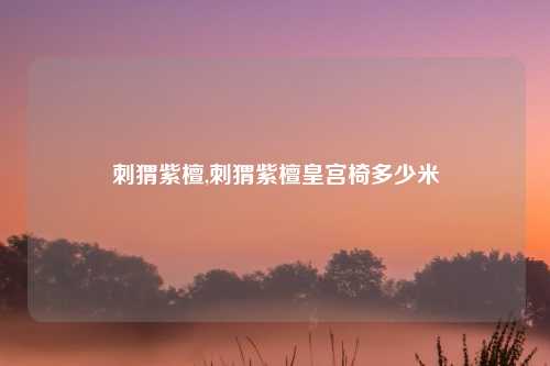 刺猬紫檀,刺猬紫檀皇宫椅多少米