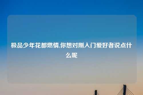 极品少年花都燃情,你想对刚入门爱好者说点什么呢