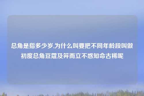 总角是指多少岁,为什么叫要把不同年龄段叫做初度总角豆蔻及笄而立不惑知命古稀呢