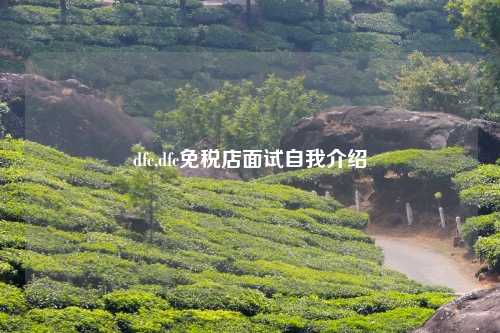 dfc,dfc免税店面试自我介绍