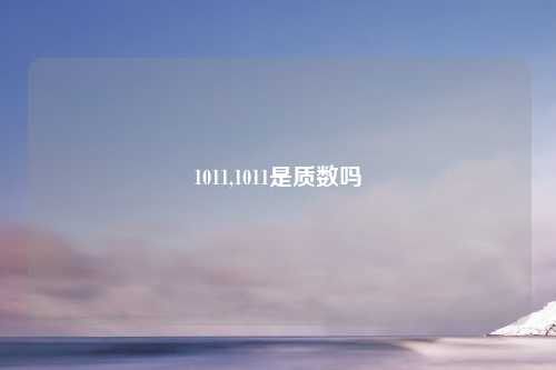 1011,1011是质数吗