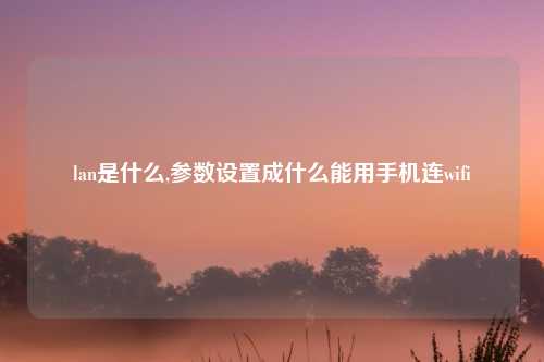 lan是什么,参数设置成什么能用手机连wifi