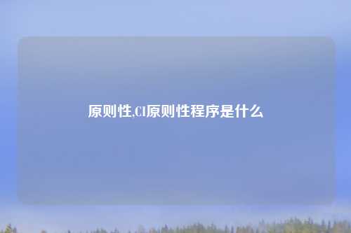 原则性,CI原则性程序是什么