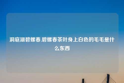 洞庭湖碧螺春,碧螺春茶叶身上白色的毛毛是什么东西
