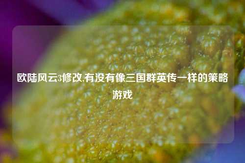 欧陆风云3修改,有没有像三国群英传一样的策略游戏