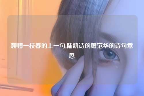 聊赠一枝春的上一句,陆凯诗的赠范华的诗句意思