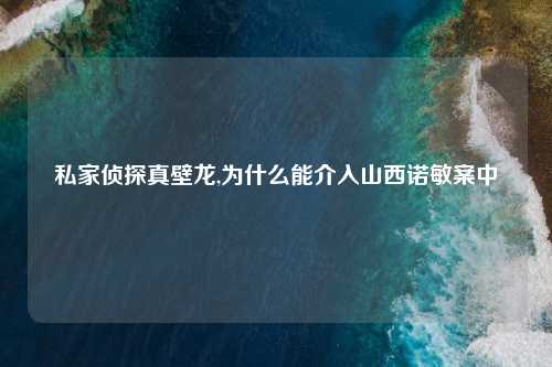 私家侦探真壁龙,为什么能介入山西诺敏案中