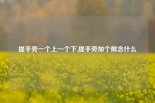 提手旁一个上一个下,提手旁加个敞念什么