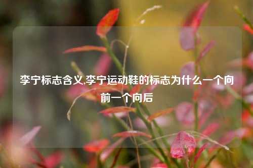 李宁标志含义,李宁运动鞋的标志为什么一个向前一个向后