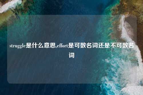 struggle是什么意思,effort是可数名词还是不可数名词