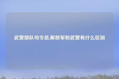 武警部队司令员,解放军和武警有什么区别