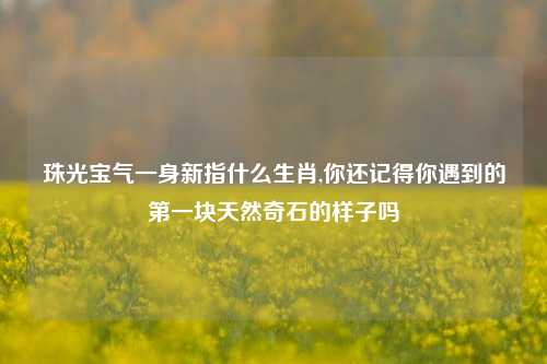珠光宝气一身新指什么生肖,你还记得你遇到的第一块天然奇石的样子吗
