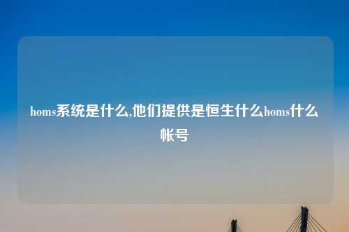 homs系统是什么,他们提供是恒生什么homs什么帐号