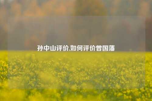 孙中山评价,如何评价曾国藩