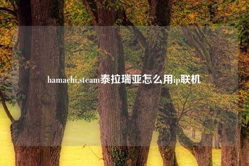 hamachi,steam泰拉瑞亚怎么用ip联机