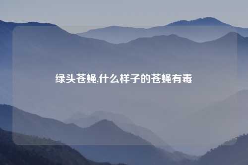 绿头苍蝇,什么样子的苍蝇有毒