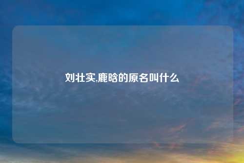 刘壮实,鹿晗的原名叫什么
