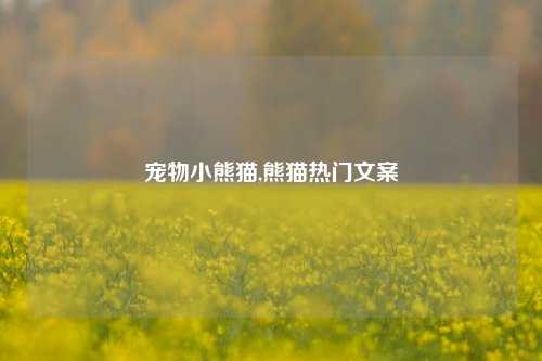 宠物小熊猫,熊猫热门文案