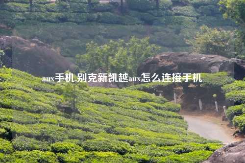aux手机,别克新凯越aux怎么连接手机