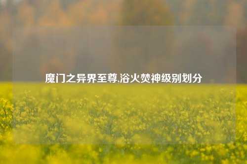 魔门之异界至尊,浴火焚神级别划分