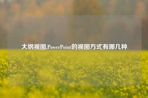 大纲视图,PowerPoint的视图方式有哪几种