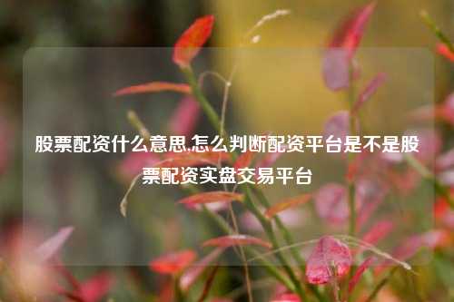 股票配资什么意思,怎么判断配资平台是不是股票配资实盘交易平台