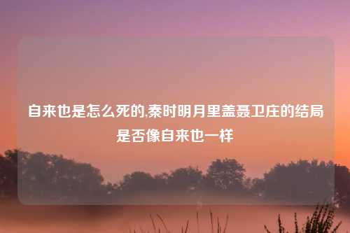 自来也是怎么死的,秦时明月里盖聂卫庄的结局是否像自来也一样