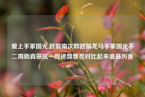 爱上手冢国光,越前南次郎越前龙马手冢国光不二周助真田弦一郎迹部景吾对比起来谁最厉害