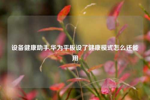设备健康助手,华为平板设了健康模式怎么还能用