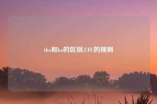 tko和ko的区别,UFC的规则