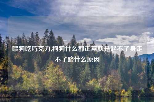 喂狗吃巧克力,狗狗什么都正常就是起不了身走不了路什么原因