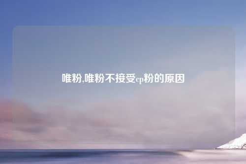 唯粉,唯粉不接受cp粉的原因