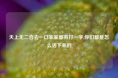 天上无二合去一口家家都有打一字,你们都是怎么活下来的