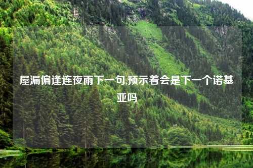 屋漏偏逢连夜雨下一句,预示着会是下一个诺基亚吗