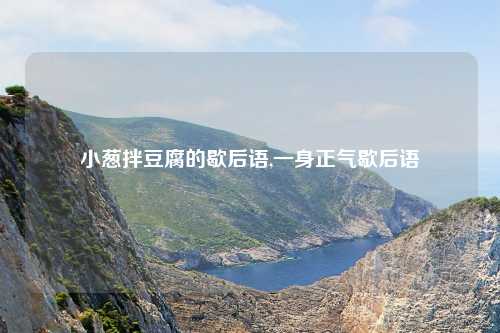 小葱拌豆腐的歇后语,一身正气歇后语