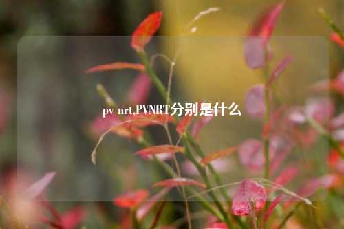 pv nrt,PVNRT分别是什么