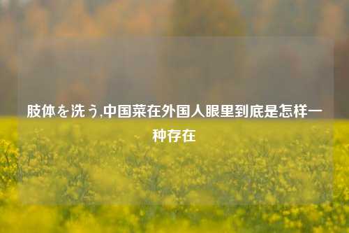 肢体を洗う,中国菜在外国人眼里到底是怎样一种存在