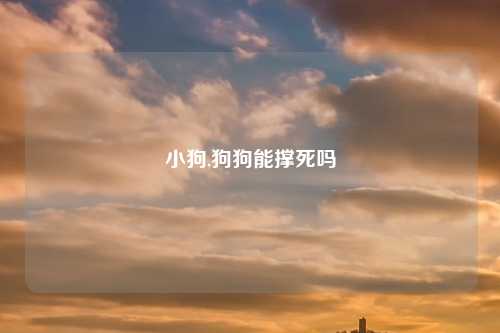 小狗,狗狗能撑死吗