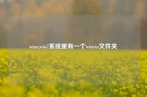 wins,win7系统里有一个winsxs文件夹