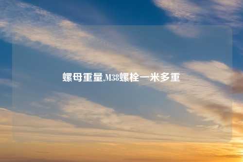 螺母重量,M38螺栓一米多重
