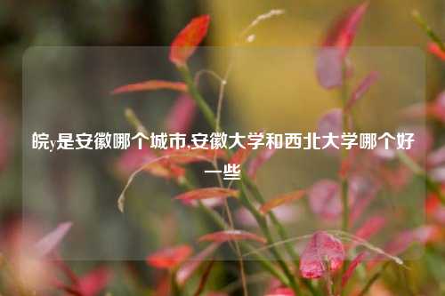 皖y是安徽哪个城市,安徽大学和西北大学哪个好一些