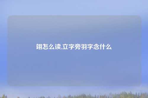翊怎么读,立字旁羽字念什么