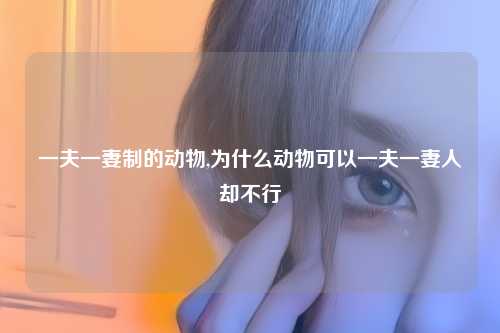 一夫一妻制的动物,为什么动物可以一夫一妻人却不行