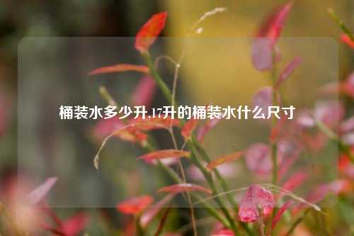 桶装水多少升,17升的桶装水什么尺寸