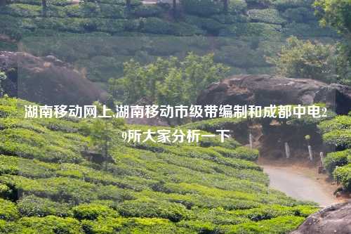 湖南移动网上,湖南移动市级带编制和成都中电29所大家分析一下